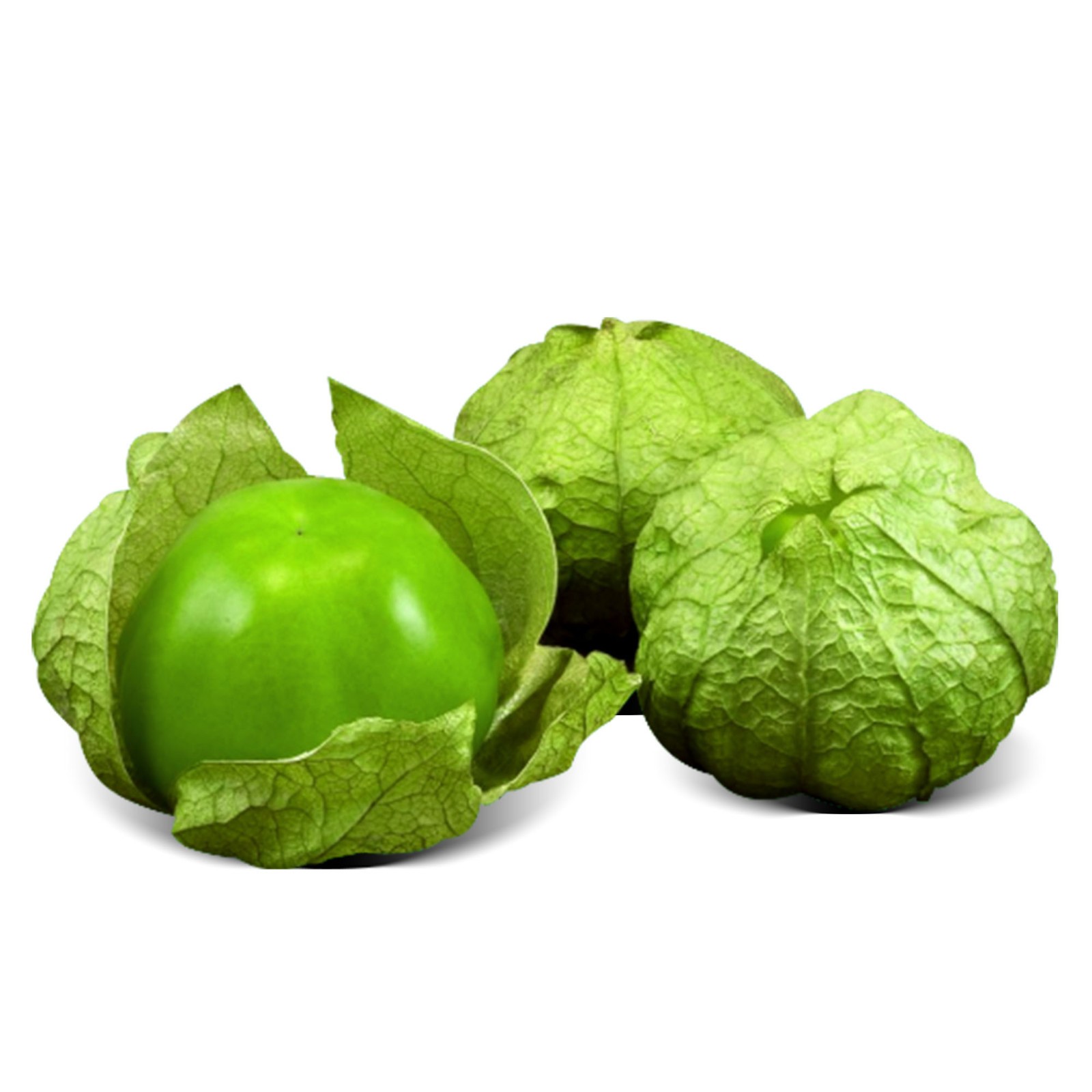 125+ Heirloom Toma Verde Tomatillo Seeds – Super Fast Growing – Early Harvest