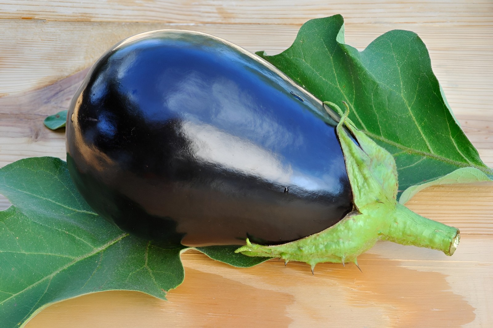 350 Heirloom Black Beauty Eggplant | Aubergine Seeds – Large Garden Classic
