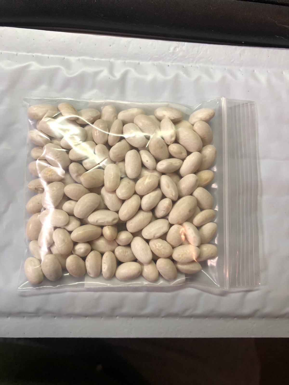 Cana Pole Bean Grown in 2025 Heirloom North Carolina half runner Bean. 1 Ounce