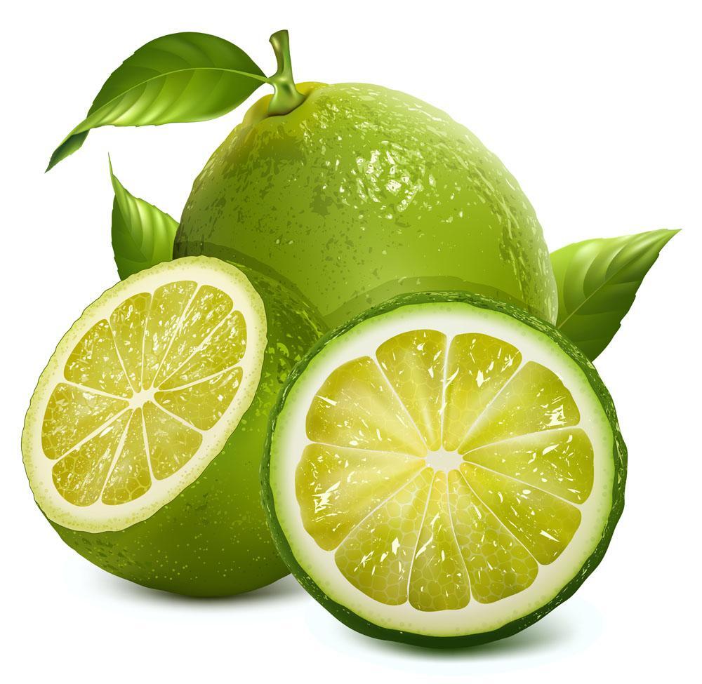 20 SEEDS LEMON LIME for germination garden bed plant tree citrus green yellow