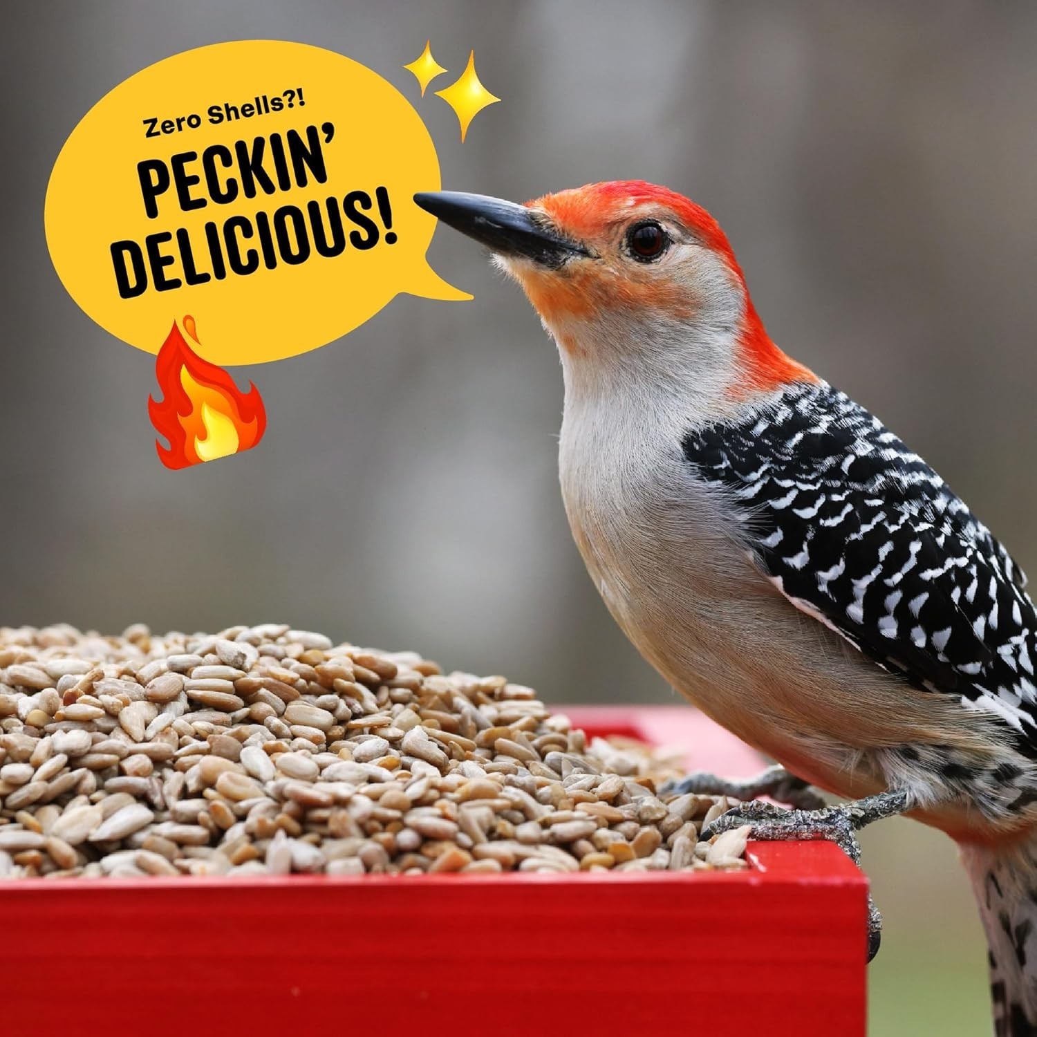 Hearts on Fire Hot Bird Seed – 10 lb. 100% Hulled Sunflower Hearts with Chili…