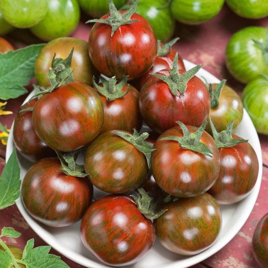Tomato Seeds – Cherry – Gum Drop Black Hybrid Organic Seeds – non gmo