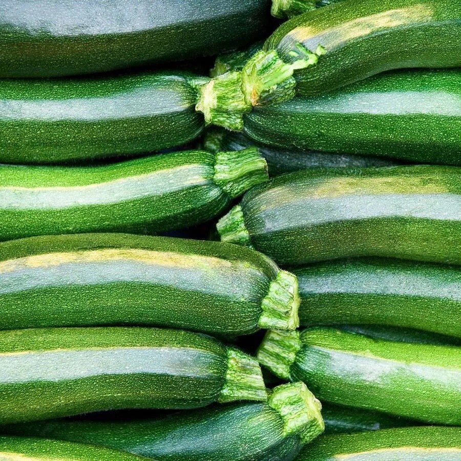 Dark Green Zucchini Squash, 25 Seeds. Heirloom ~ Organic .~ Non-Gmo. USA.