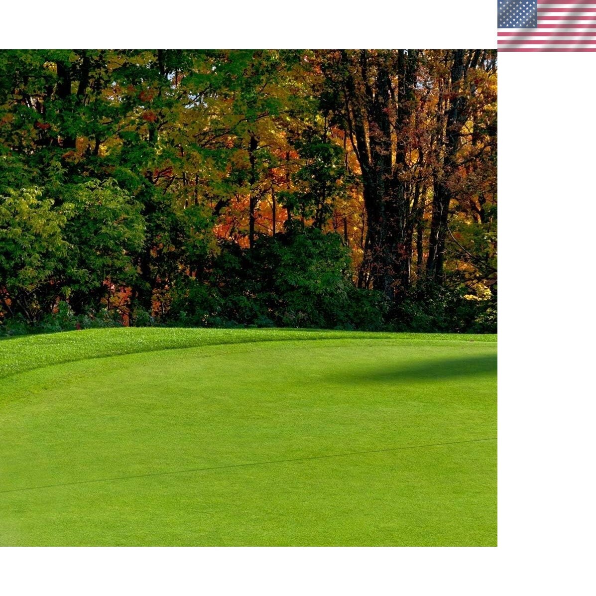 Creeping BentGrass Seeds, 5 Pounds