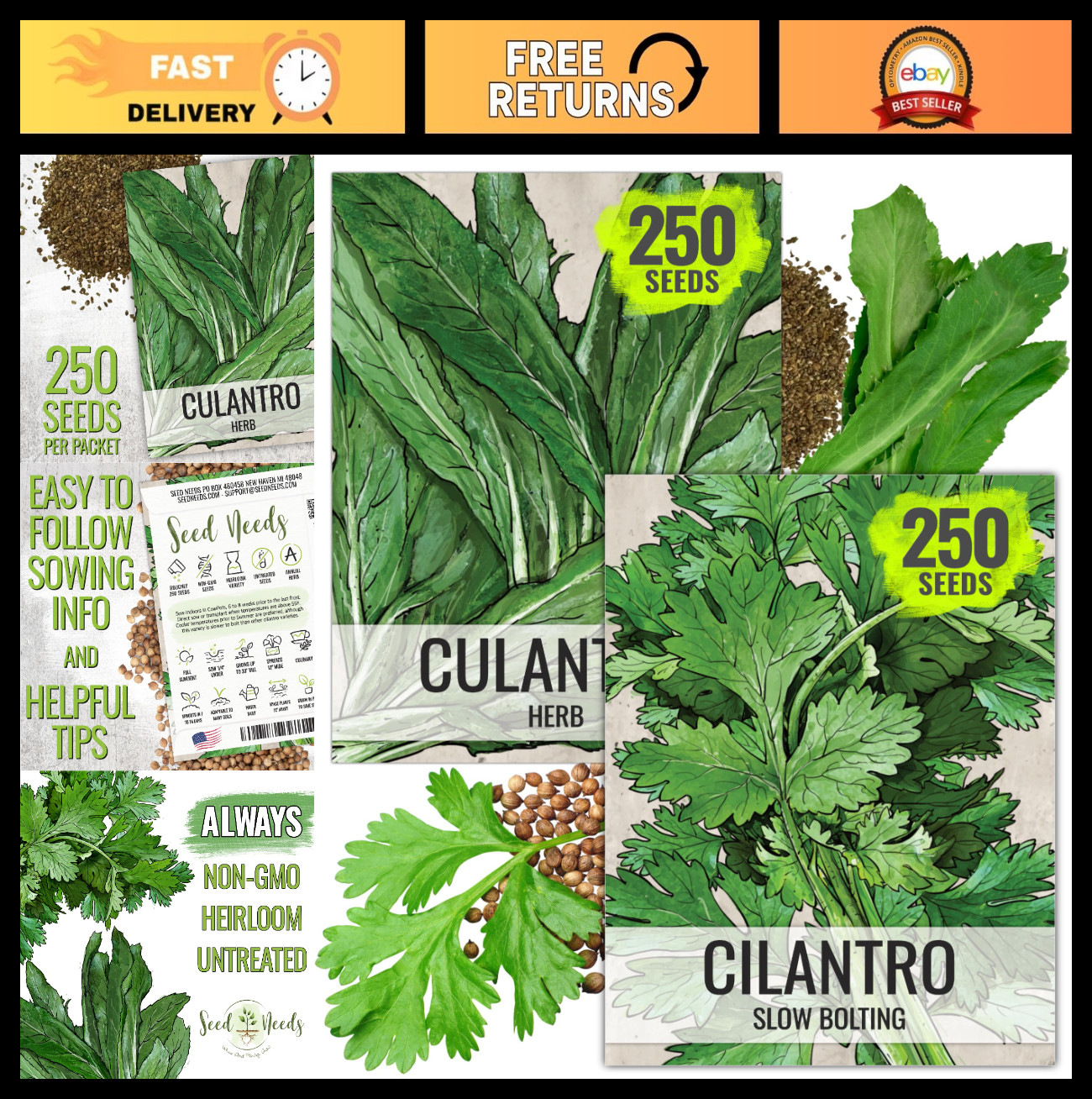 Coriander Seeds for Planting – Non-GMO Heirloom Cilantro & Culantro – 2 Packets