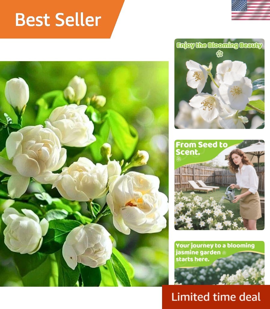 400+ Climbing Jasmine Flower Seeds for Planting – Easy to Grow, Non-GMO, High…