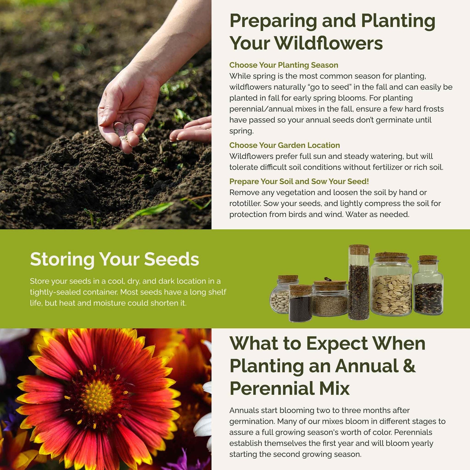 Wildflower Mixed Seeds for Planting, 1 lb, Attract Pollinators, Zones 3-10