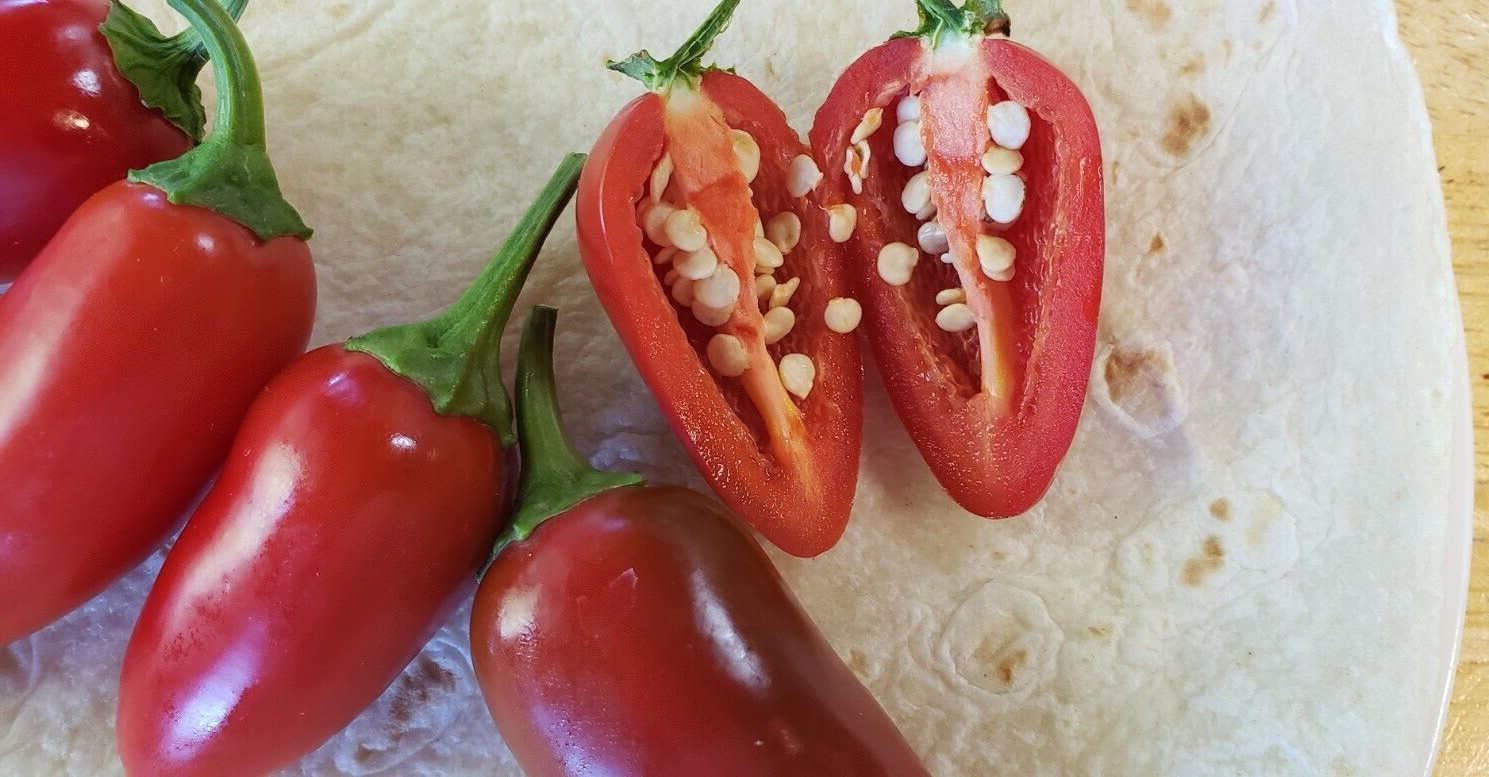 Jalmundo Jalapeno Pepper (25 Seeds) Free Shipping, good flavor!