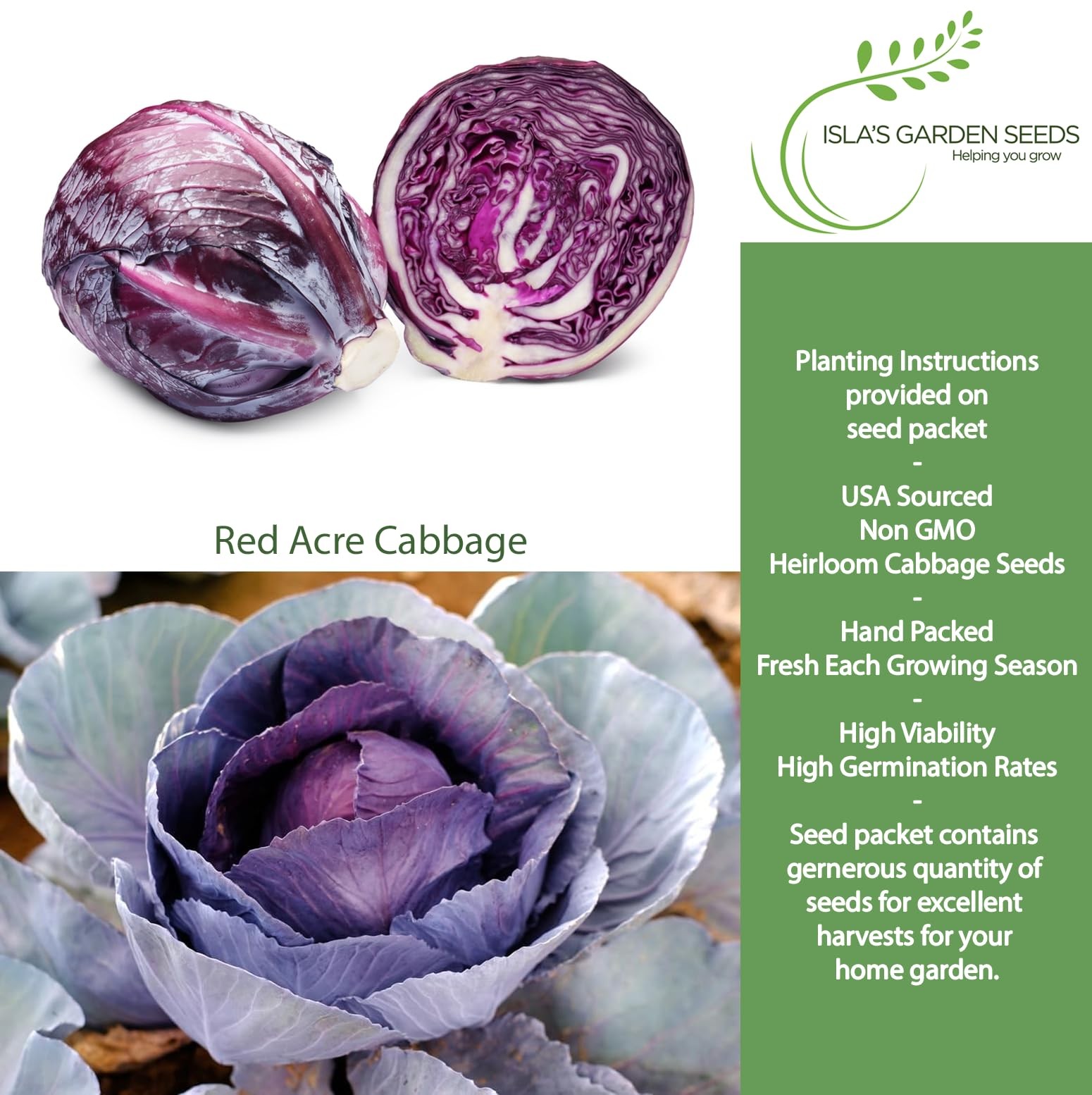 Red Acre Cabbage Seeds (Brassica oleracea var. capitata f. rubra) – 250+ Non-…