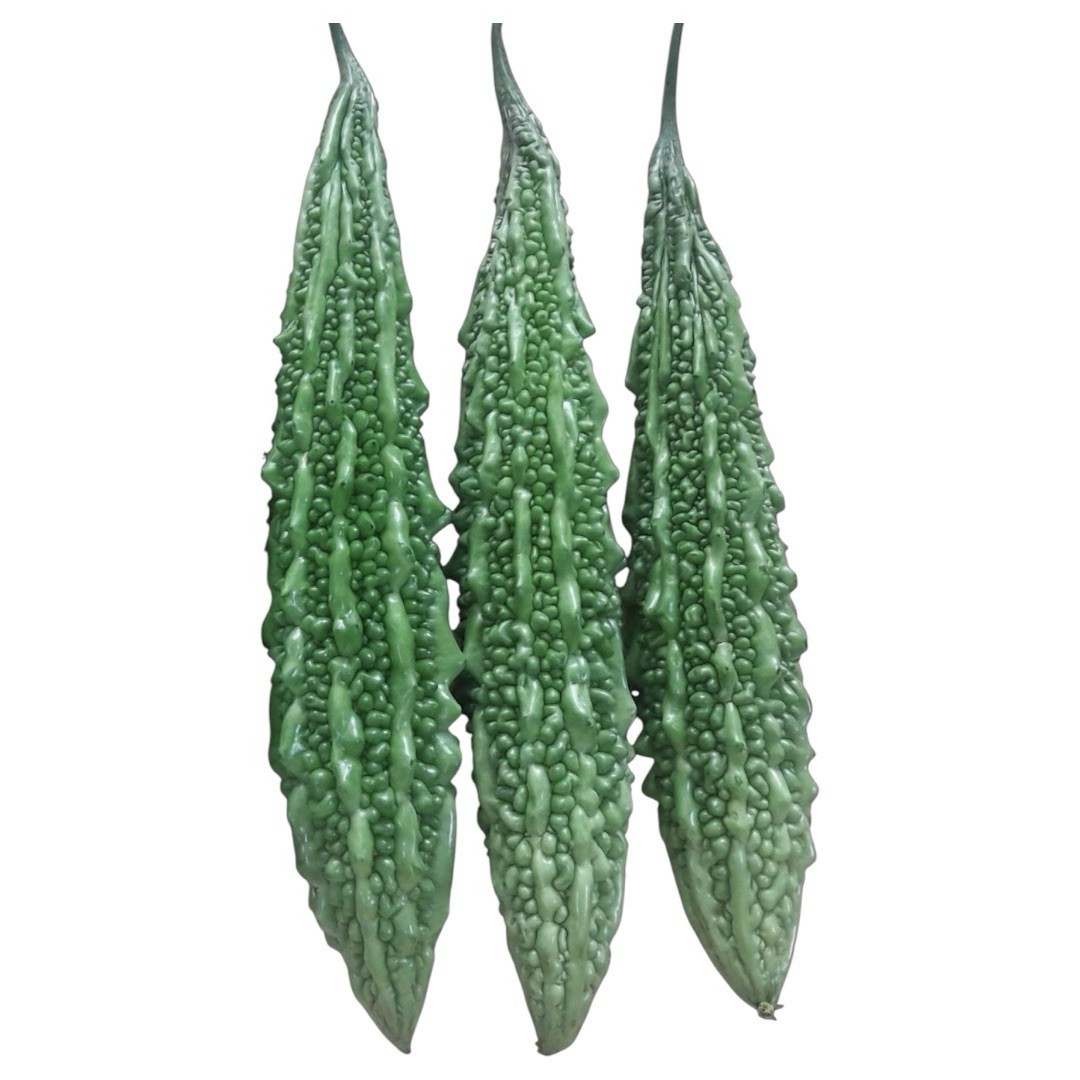 Bitter Gourd Lima Super F-1 10 Bangladeshi Korola seed