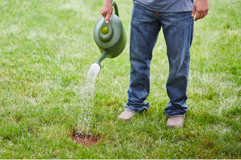 Scotts EZ Seed Patch & Repair Bermuda Grass 20 lbs. Covers up to 445 sq. ft.