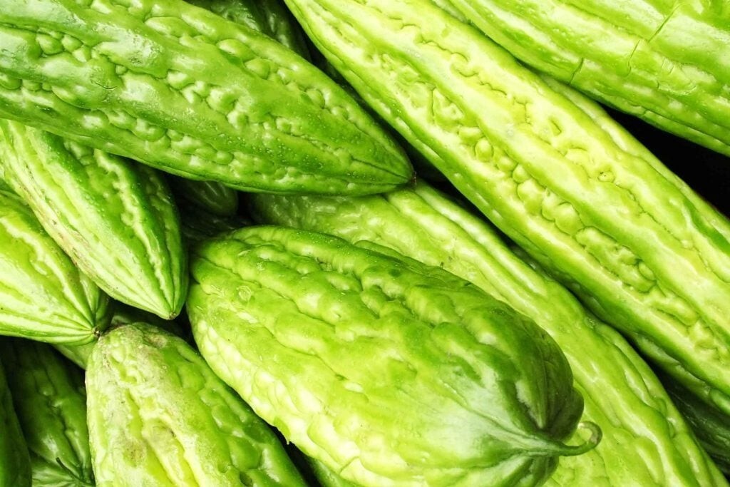15+ Bitter Gourd seeds Bitter melon Seeds-Tai Gue- Asian Vegetable Free Shipping