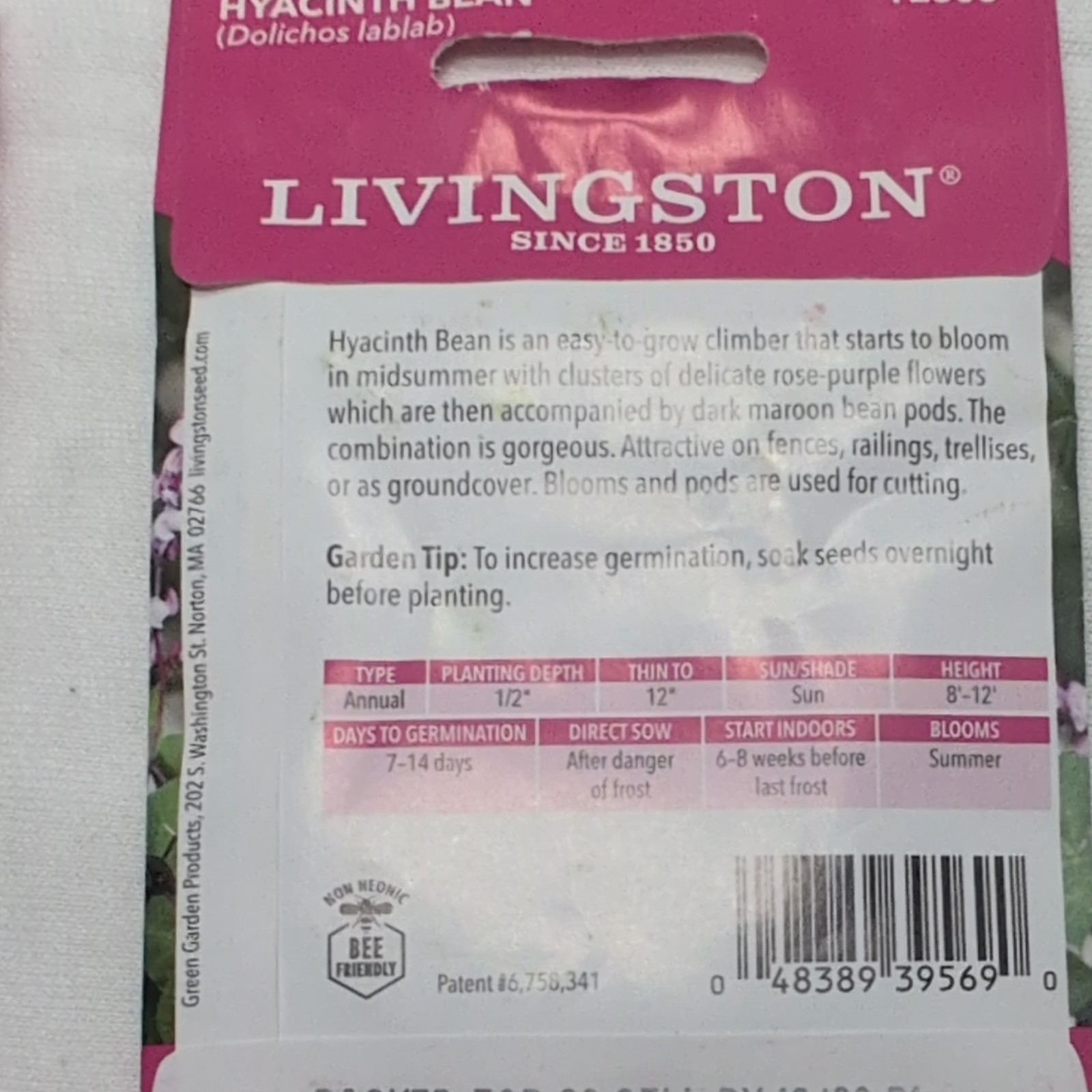 Livingston Hyacinth Bean Annual Climbing Vine Seeds Purple/Green Full Sun Bee