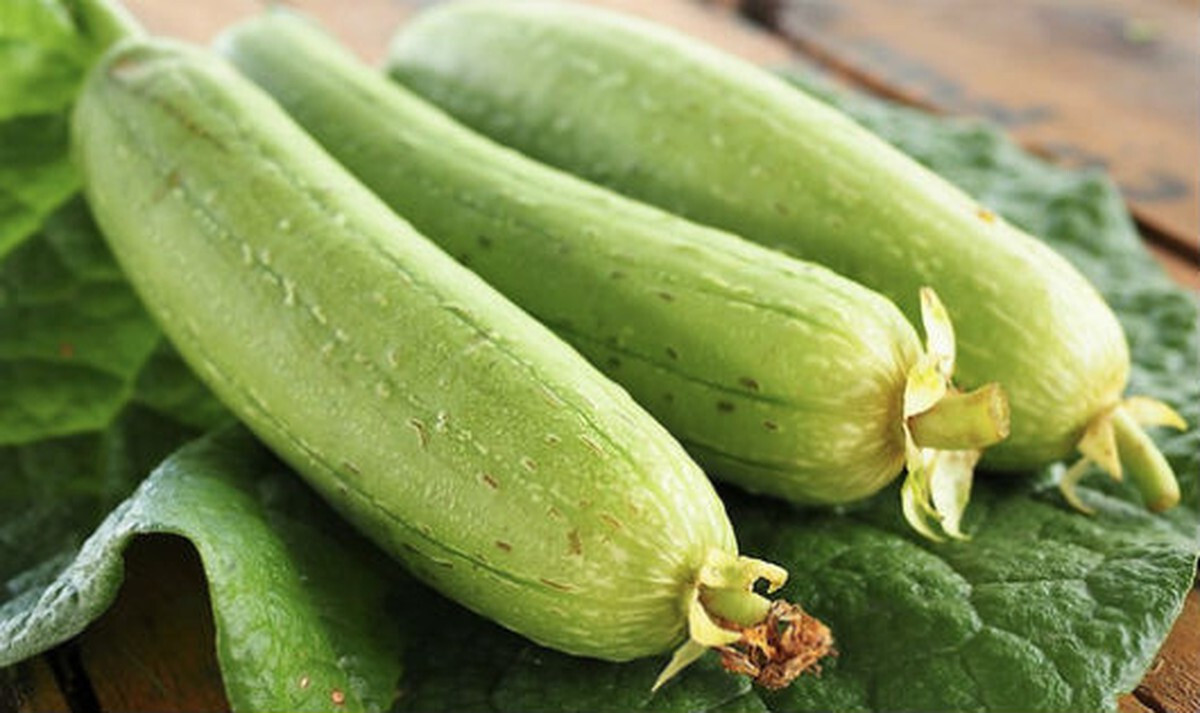 Vietnam Smooth Luffa Gourd seeds; 特長絲瓜; Muop Huong; F1 Non-GMO,Organic
