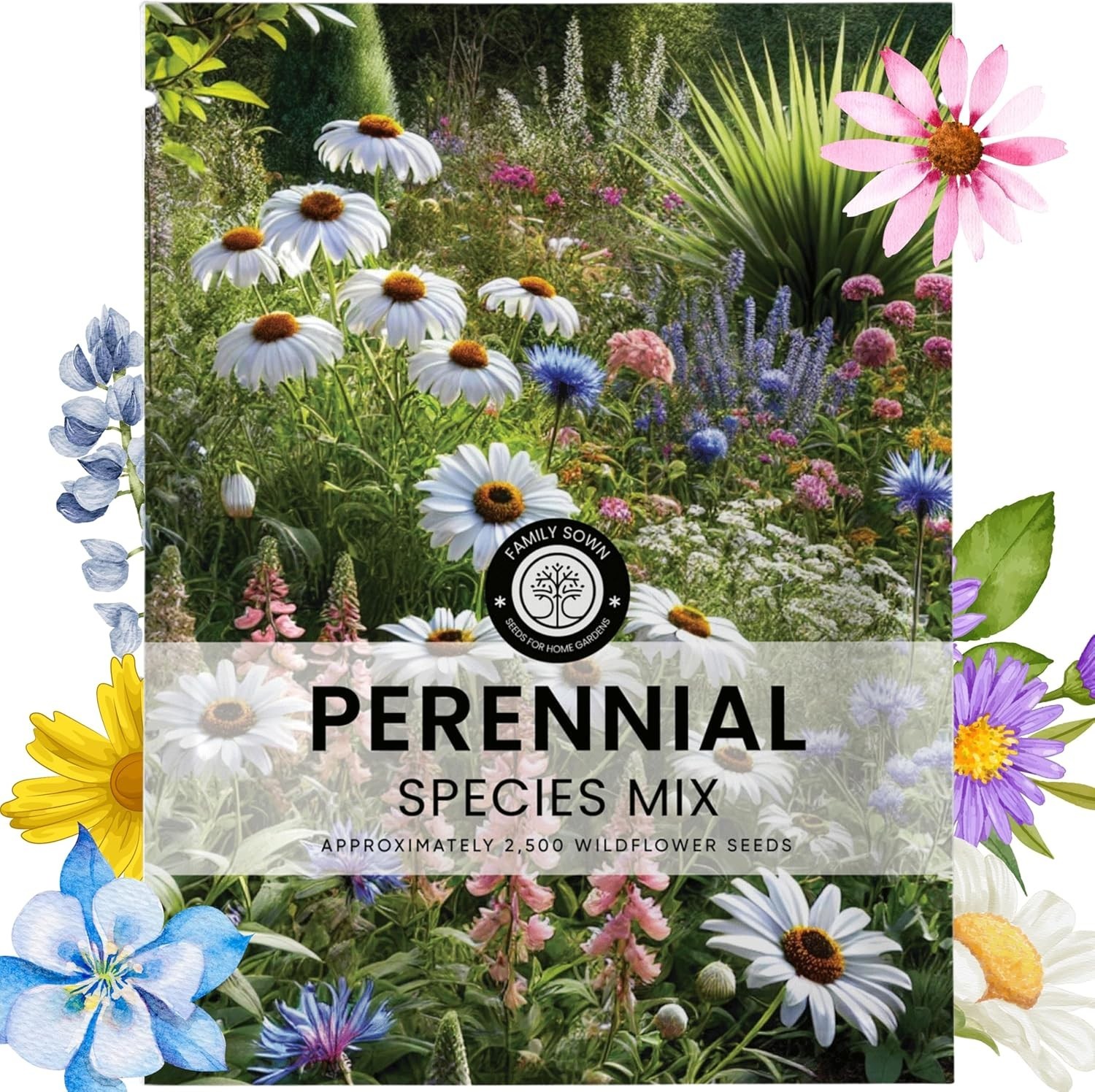 Create a Colorful, Low-Maintenance Garden with 2,500 Seeds – Perennial Mix