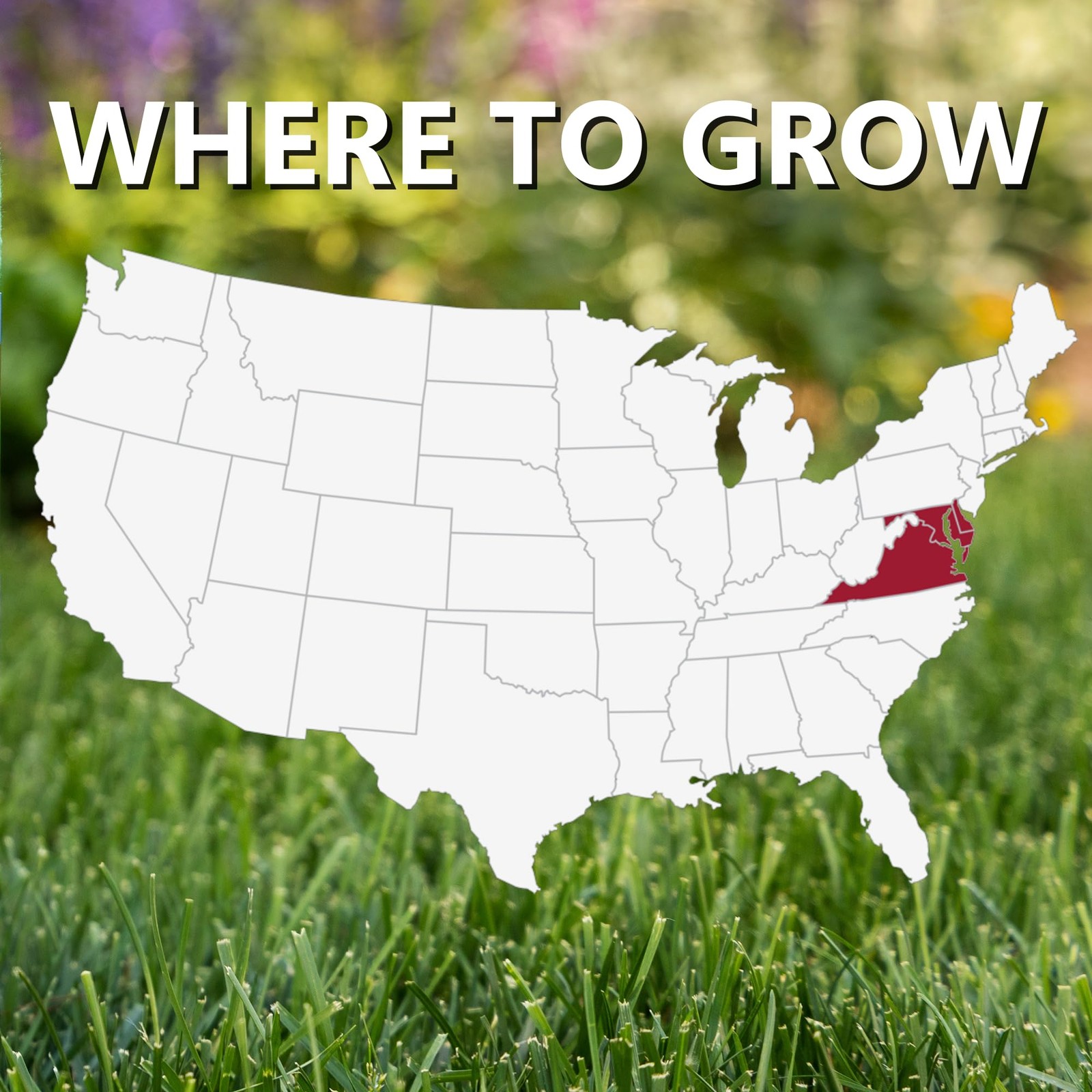 Jonathan Green Black Beauty Delmarva Grass Seed 25 lb for Mid Atlantic Lawns