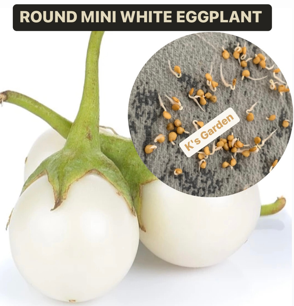 100+PCS WHITE ROUND EGGPLANT SEEDS, CÀ PHÁO TRẮNG, 茄子,berenjena 90% GERMINATION