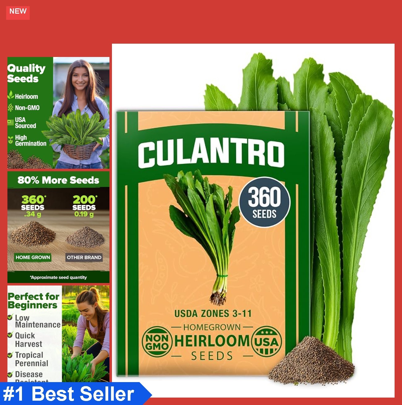 Culantro Seeds 360 Non GMO Heirloom Herb Seeds Heat Resistant Grow Indoors