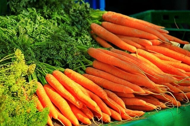 300 IMPERATOR CARROT SEEDS ~ 2026 ~ heirloomseedguy ~ USA