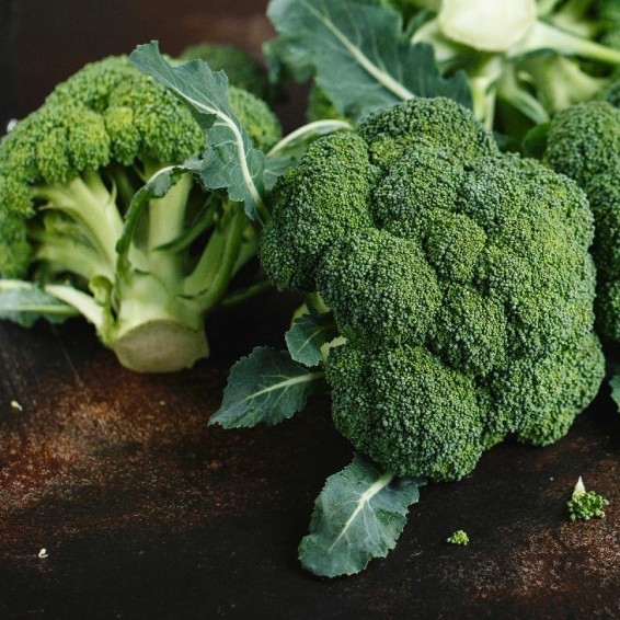 Waltham 29 Broccoli Heirloom Seeds – Non GMO – 250 Seeds
