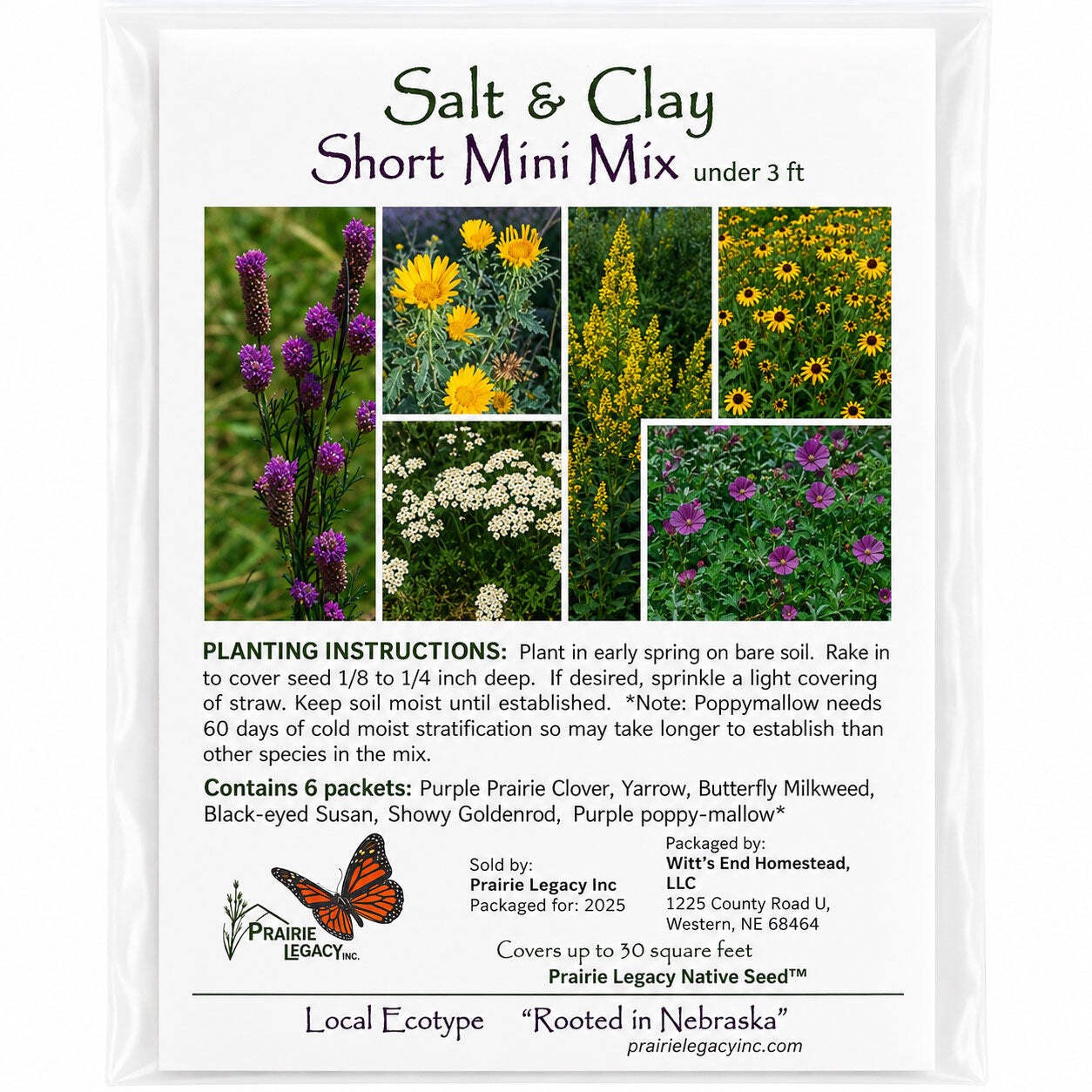 Backyard Salt & Clay Wildflower XL Bundle | Tall & Short Mini Mixes and Petite C