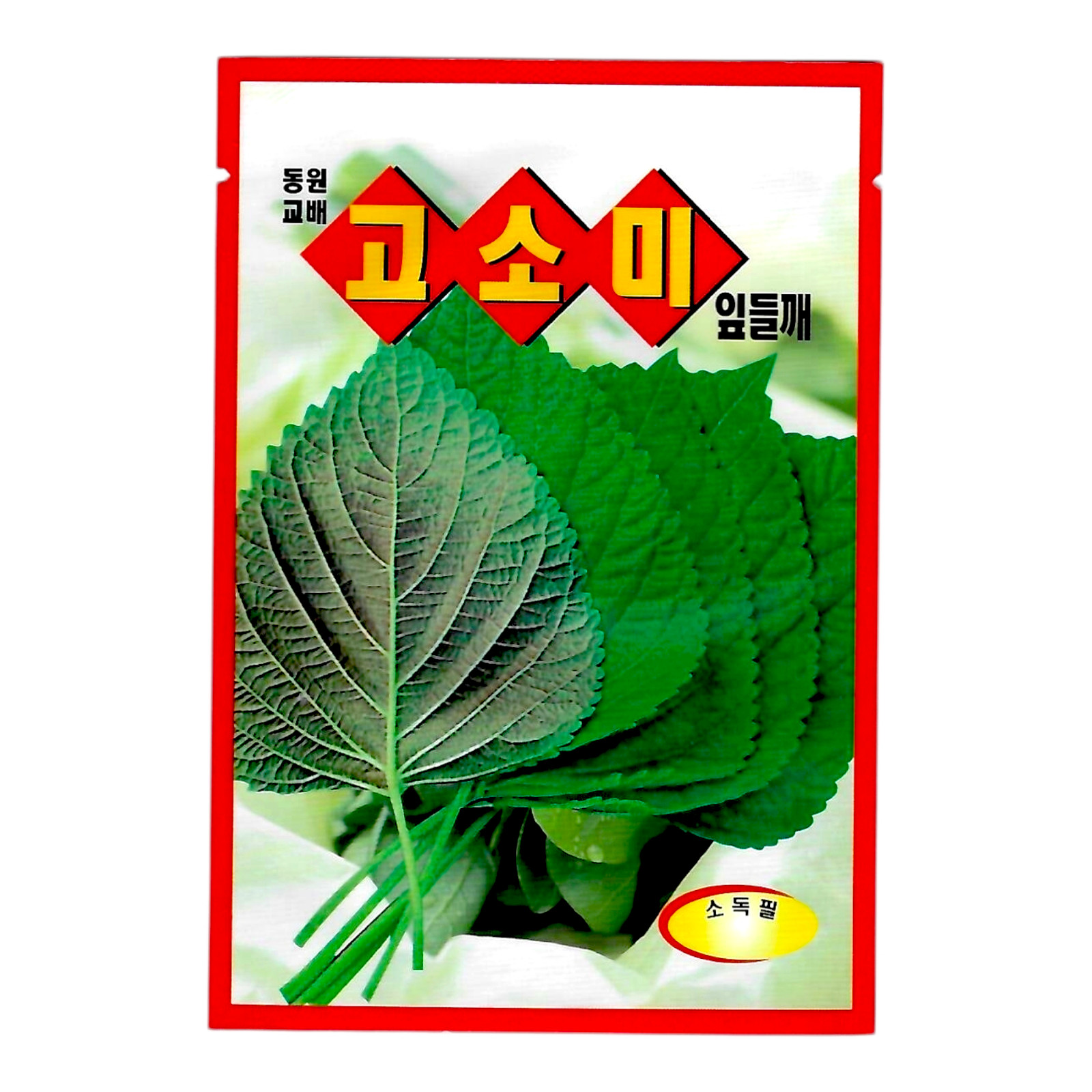 Korean Perilla Leaf Seeds 1 Pack | Sesame Leaf / Perilla Leaves (깻잎)