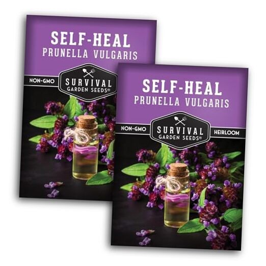 Self-Heal Seeds for Planting – Prunella Vulgaris (All-Heal, Selfheal) Hardy 2