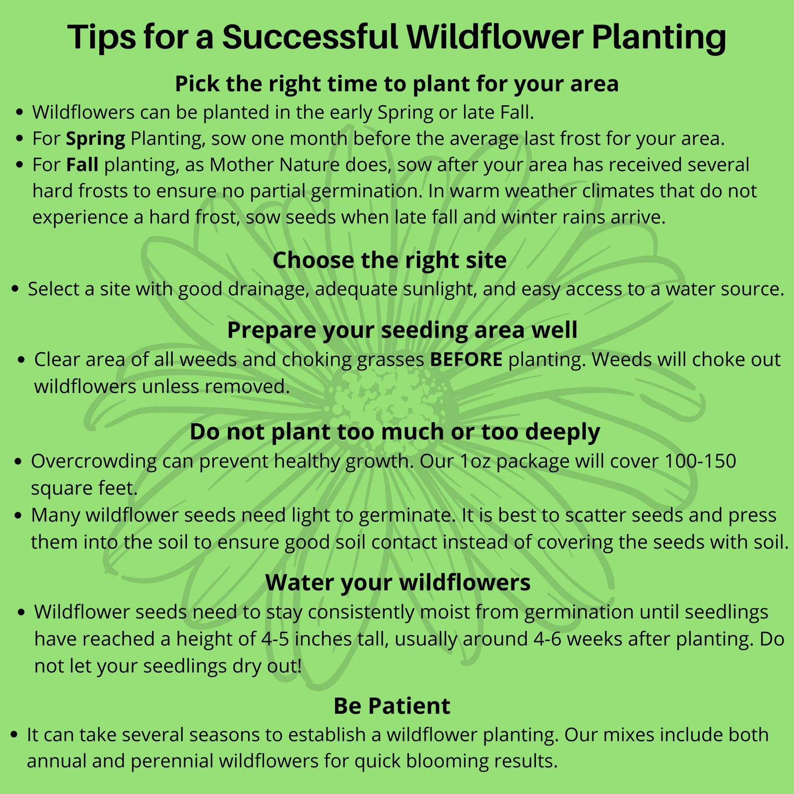 Partial Shade Wildflower Seeds Mix 4oz OpenPollinated Annual & Perennial