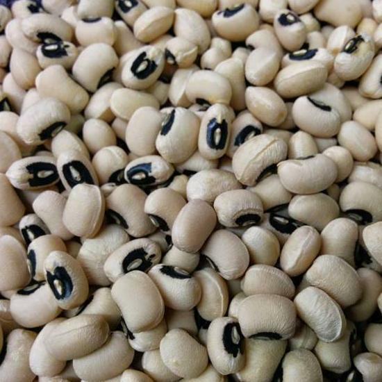 California Blackeye Cowpea Seeds 50 Ct Legume Bush Vegetable Garden Heirloom