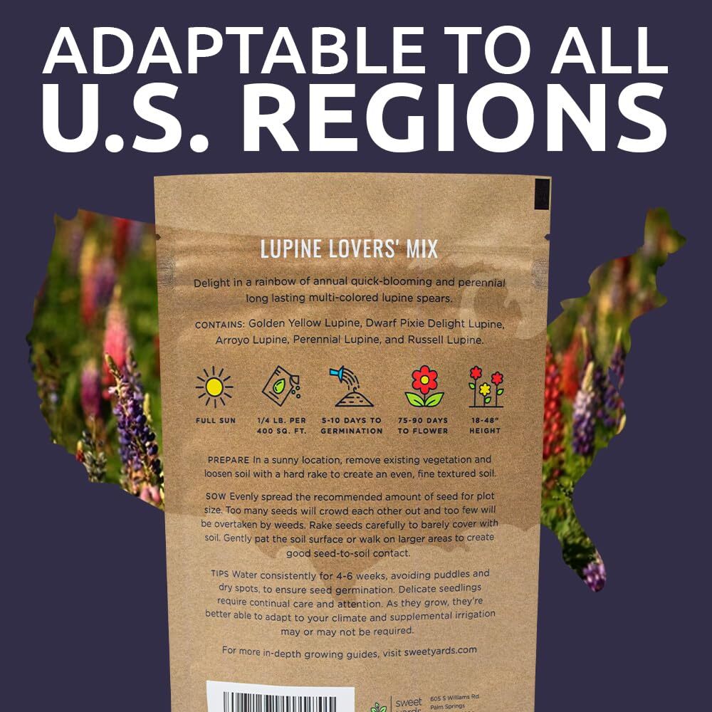 Bulk Lupine Mix Wildflower Seeds 1/4 Pound 4500 Untreated Annual Perennial