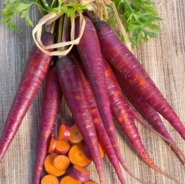 Carrot COSMIC PURPLE Unique Vegetable Popular Heirloom Vegetable 200 Seeds