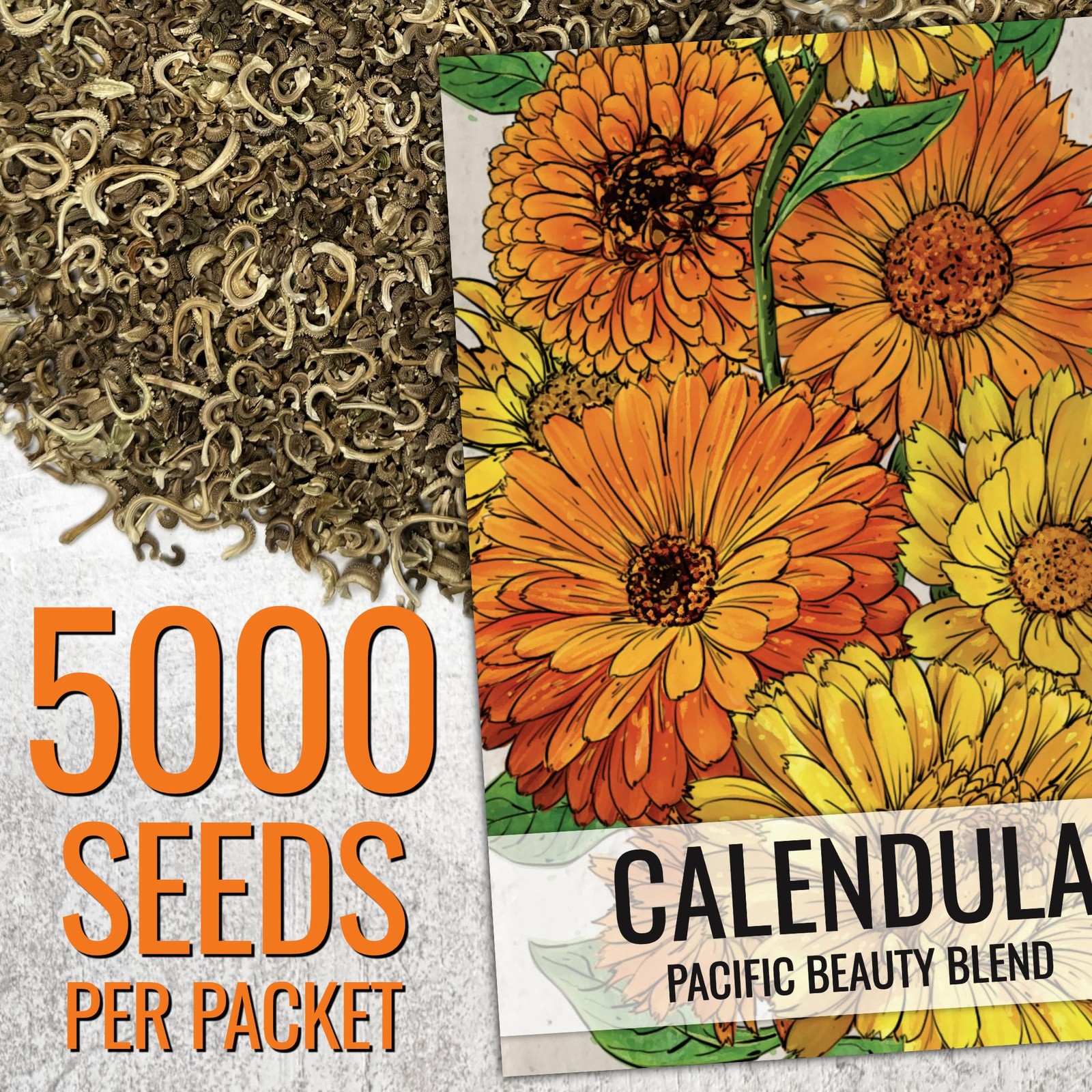 Seed Needs Calendula Seeds Pacific Beauty Mix | 5,000+ Mixed
