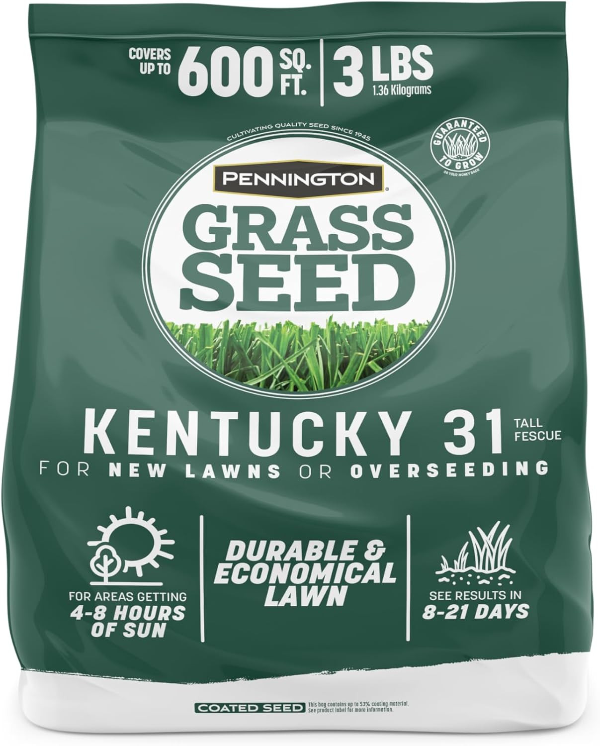 Kentucky 31 Fescue 3 LB Tall Fescue Grass Seed, Grass Seeds for Lawn