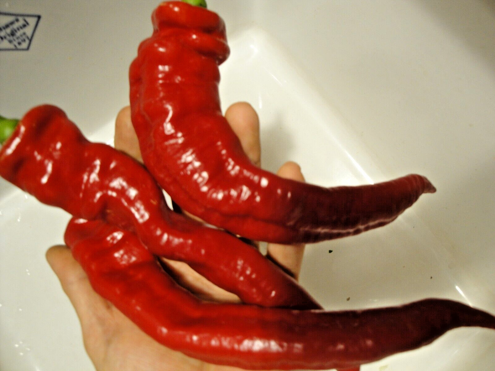 Jimmy Nardello Sweet Red Pepper 30 seeds Italian Heirloom Organic