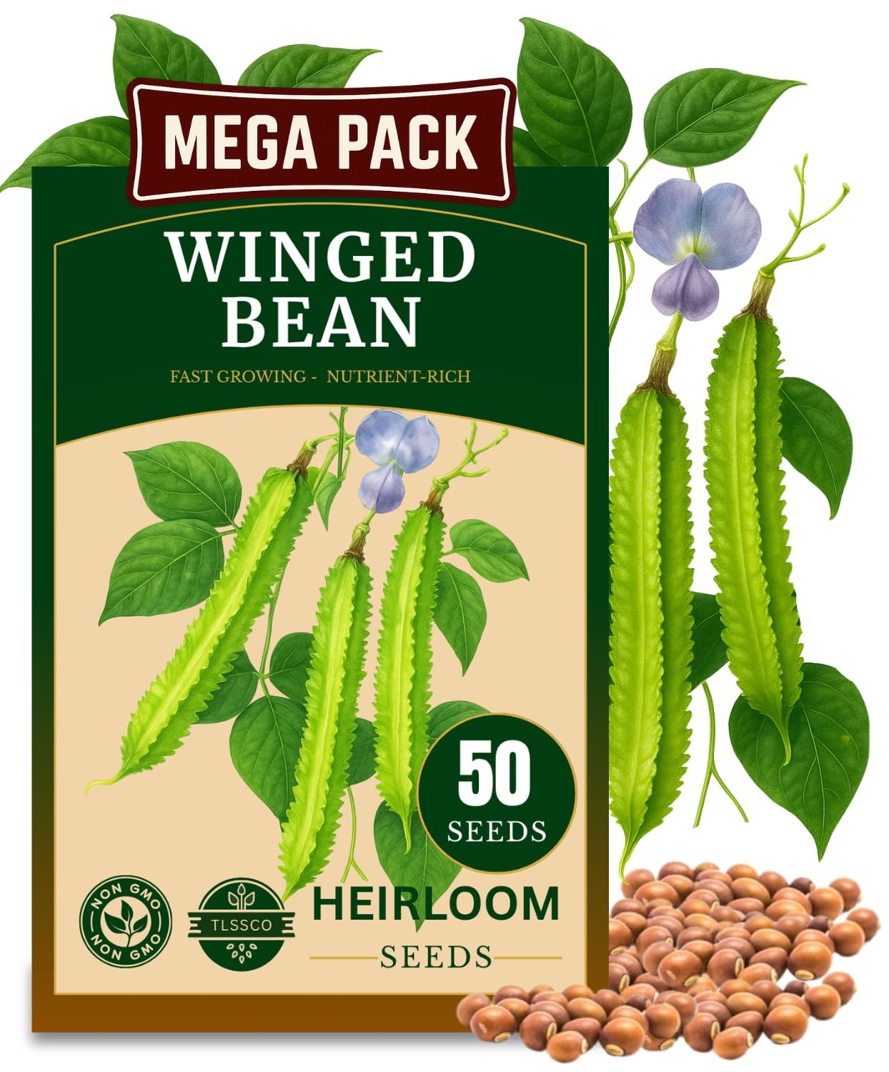 50+ USA Premium Winged Bean Seeds for Planting, Non-GMO â€“ Green