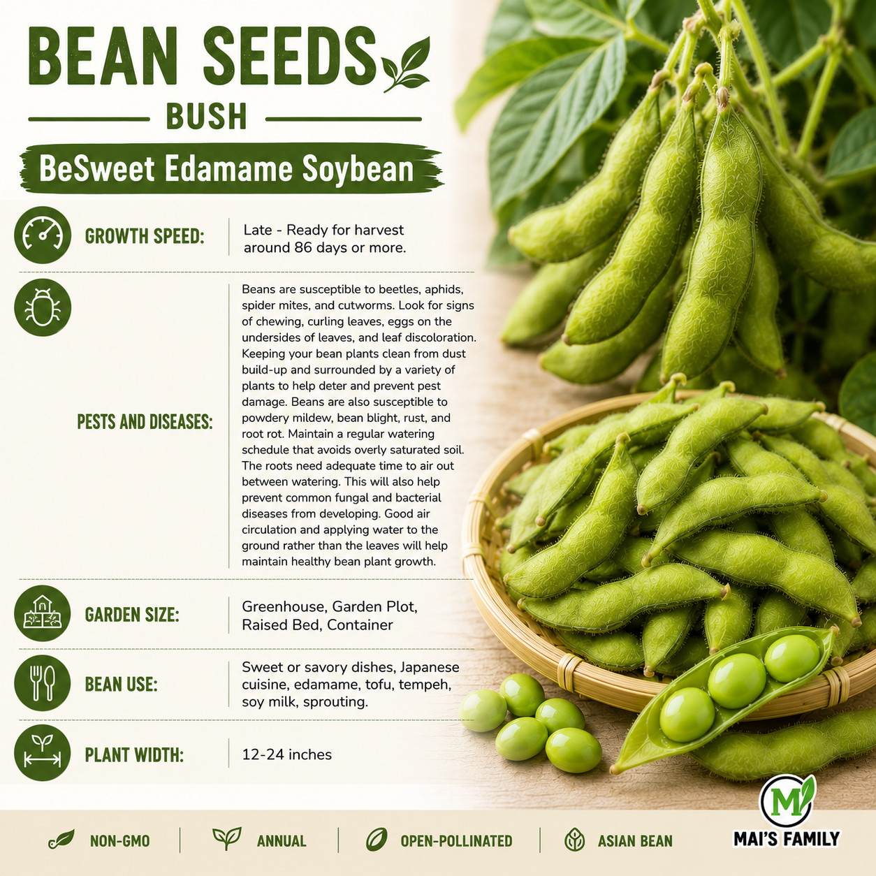 BeSweet Edamame Soy Bean Seeds | USA Non-GMO Vegetable