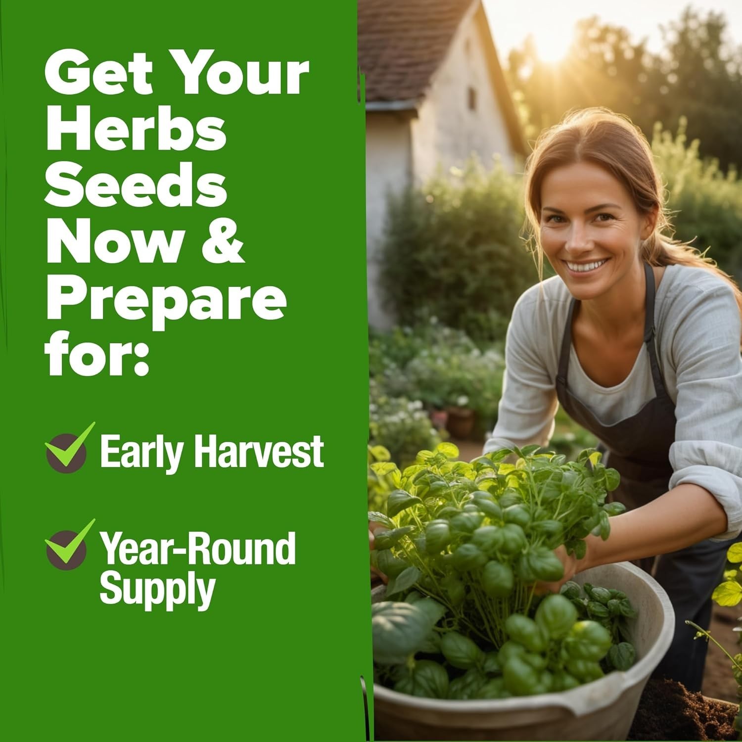 Complete Herb Garden Kit | 10 Culinary Herb Seeds with Grow Guide – Perfect Gift