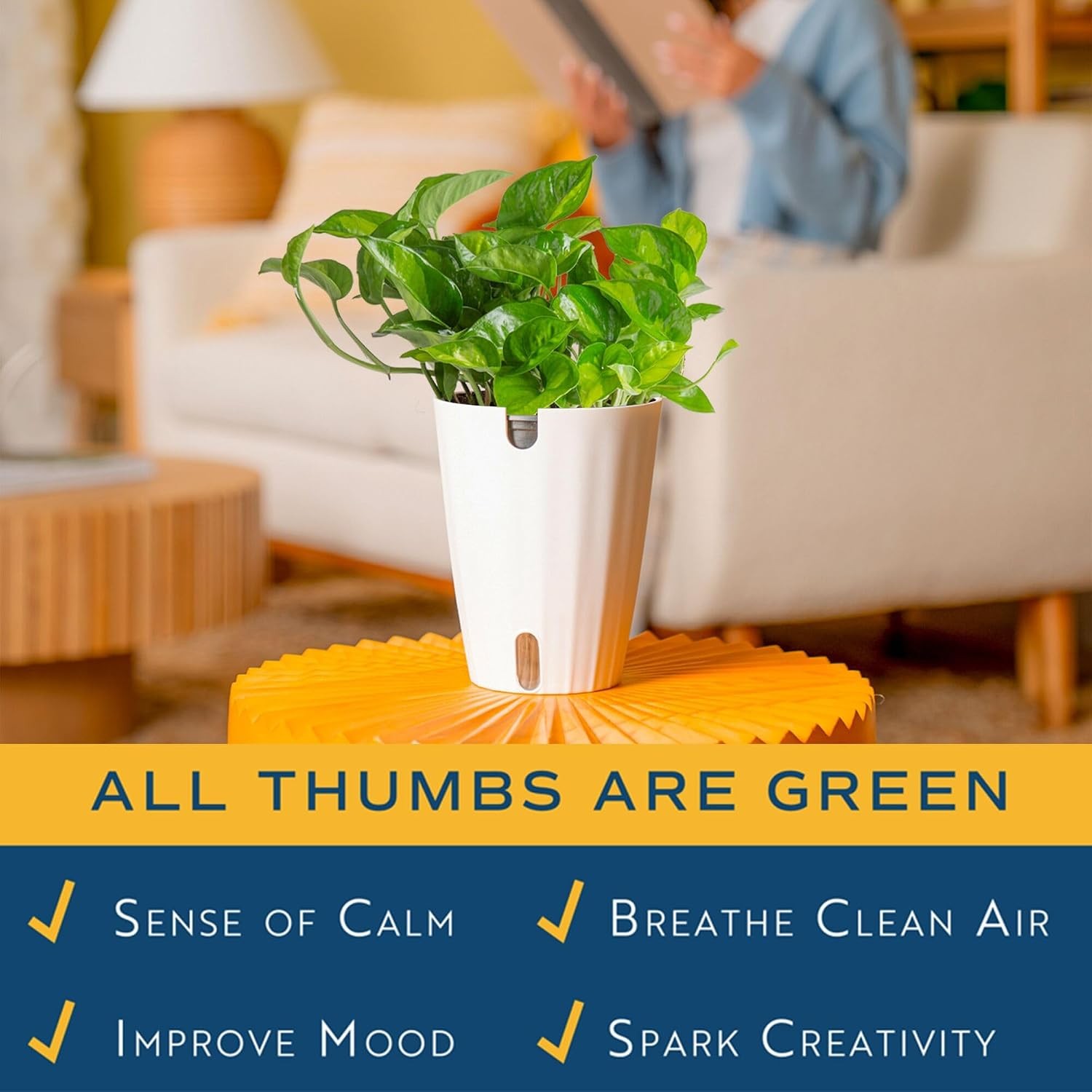 Costa Farms Global Green Pothos Live Plant in Self Watering Pot, Air Purifying I