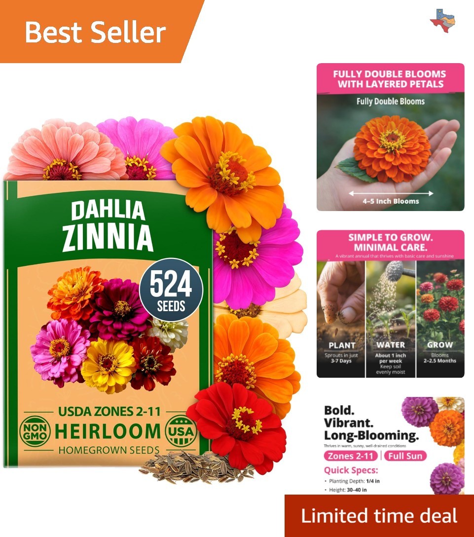 Vibrant Zinnia Dahlia Seeds – 524 Non-GMO, Low Maintenance for Containers