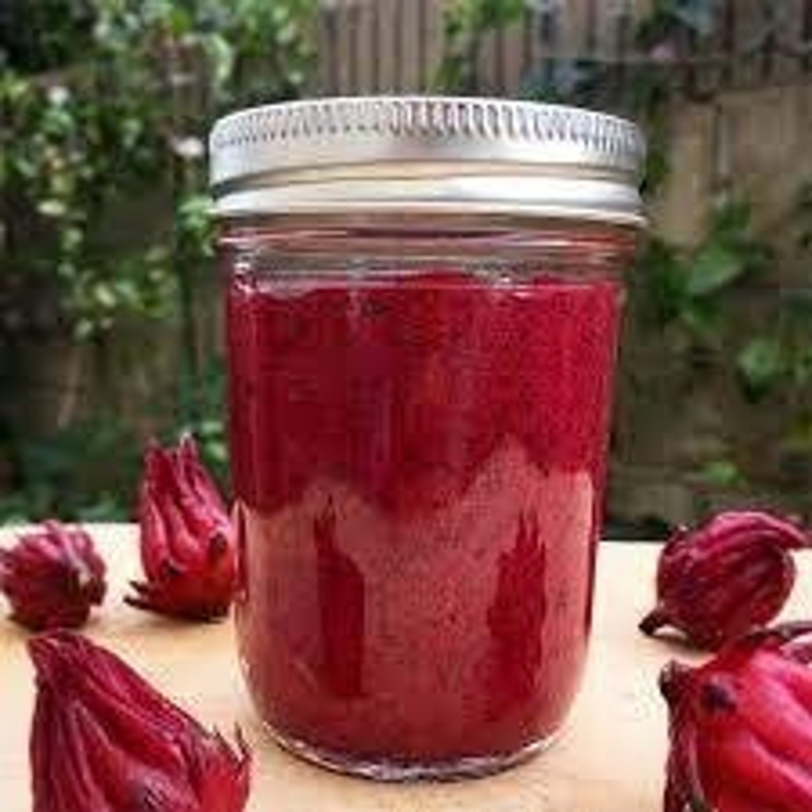 Red Hibiscus Roselle Asian Sour Leaf Seeds Non GMO Heirloom Herb Tea – 25