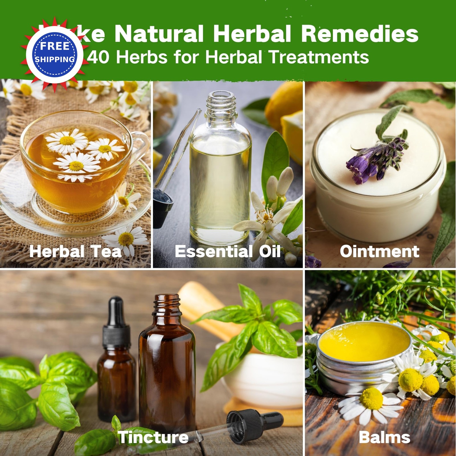 Medicinal Herb Seed Chest 36 000+ Non GMO Survival Kit Lush&Dew Ancestral Gifts