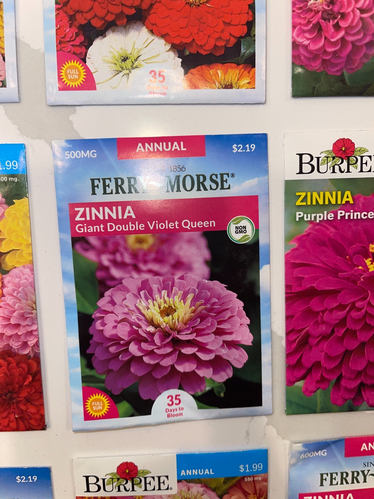 10 PACK BUNDLE LOT ZINNIA SEEDS