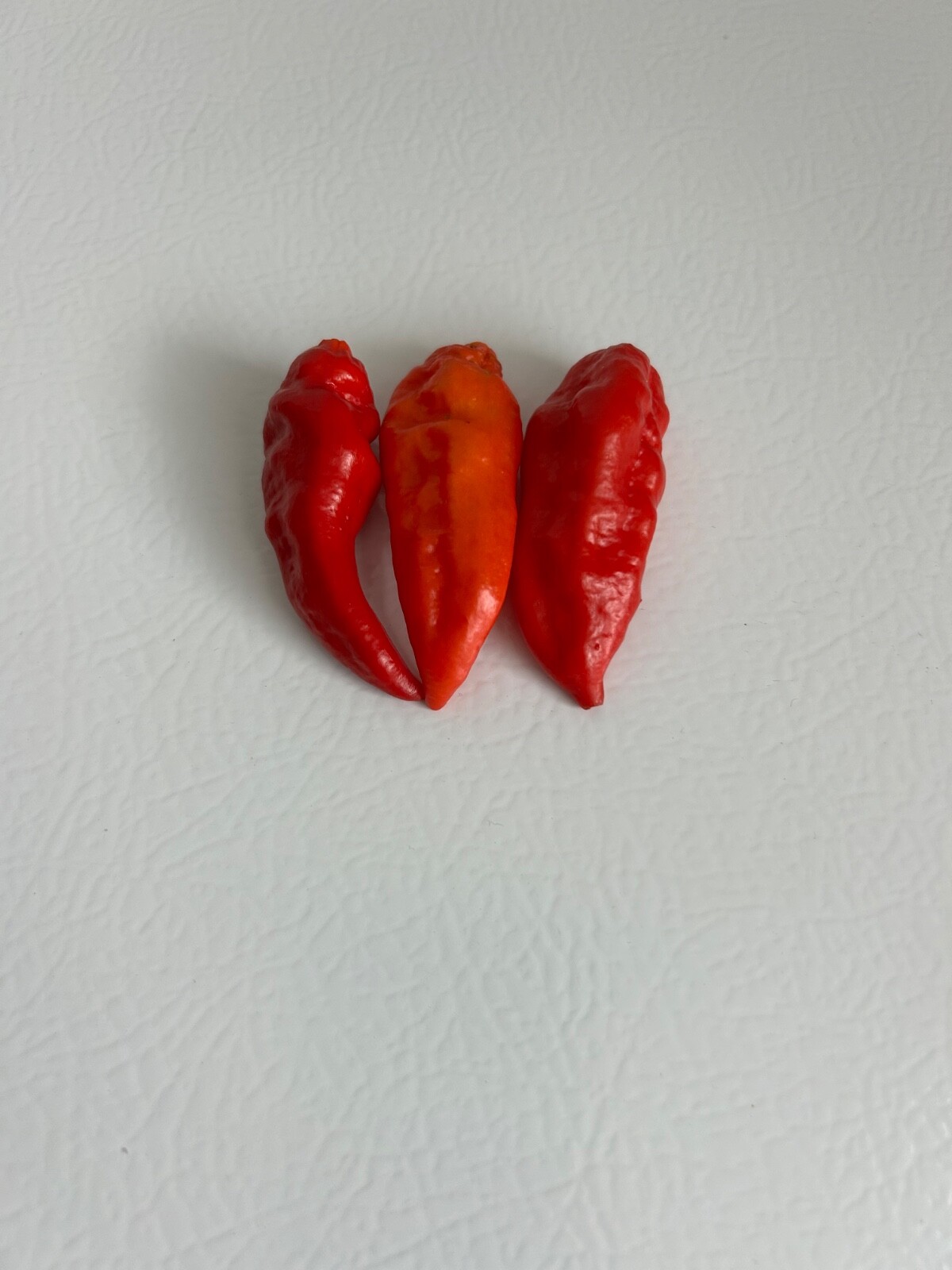 40+ Red Datil Hot Pepper Seeds Heirloom Prolific No Pesticides