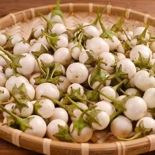 20+ White Round African Eggplant Seeds Ca Phao Trang Solanum melongena Organic