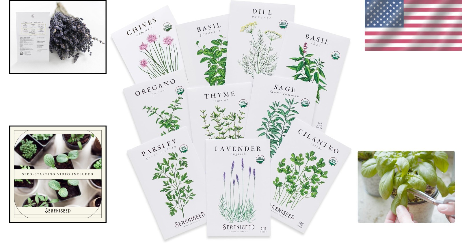 Seed Starting Video Included: Organic Herb Seeds 10-Pack for Indoor & Outdoor