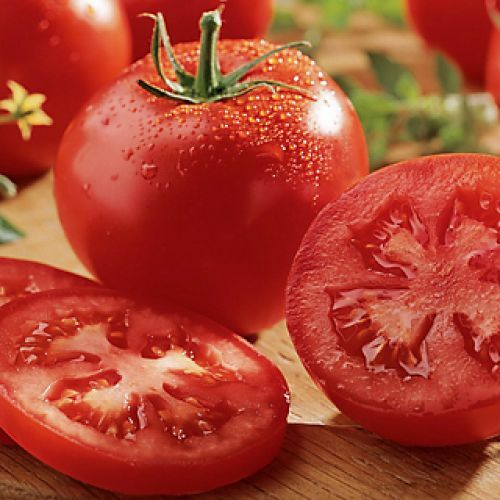 Celebrity Tomato Seeds (F1 Hybrid) | 10 Seeds | Non-GMO | Free Shipping | 1029