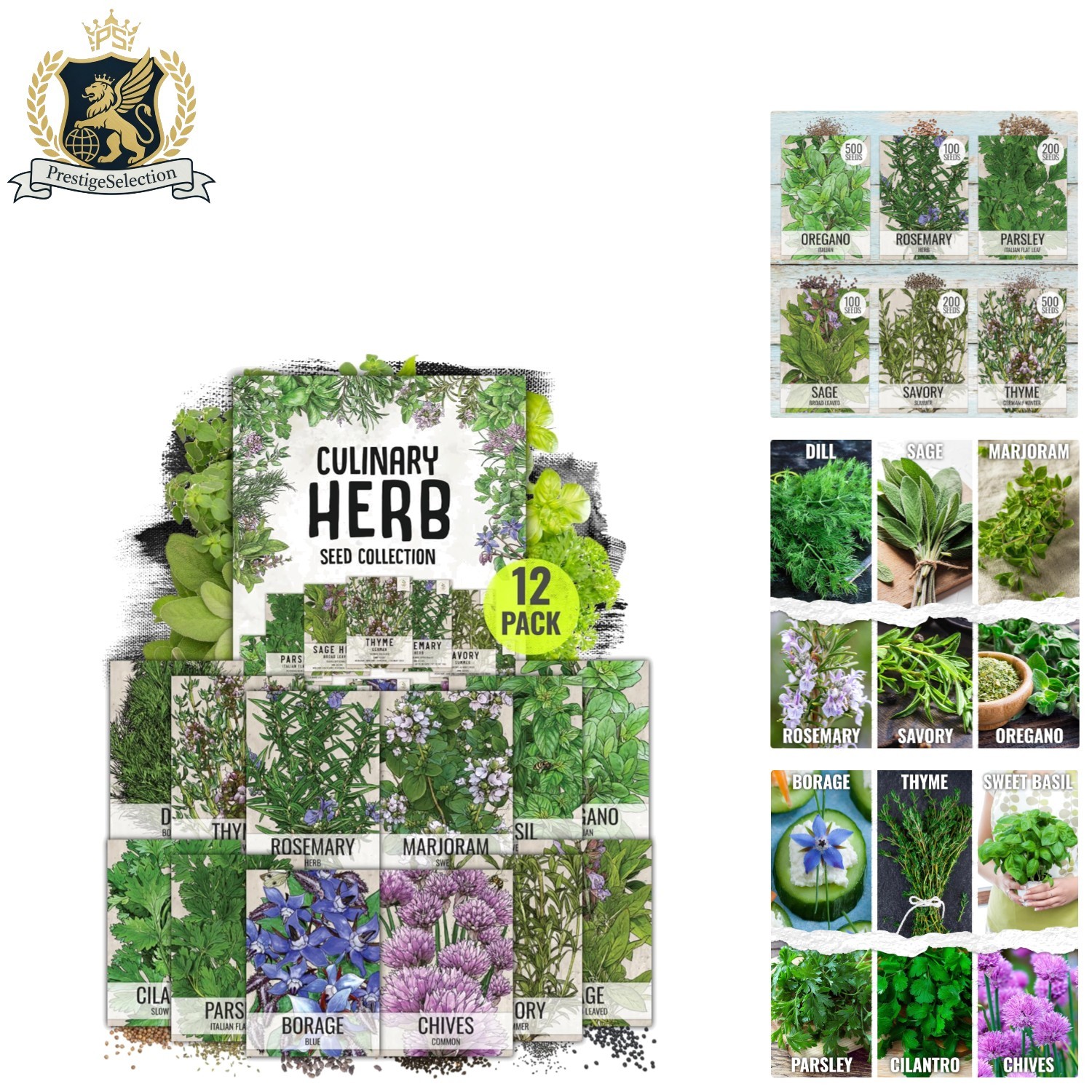 Diverse Indoor/Outdoor Herb Seeds – 12 Pack of Heirloom, Non-GMO Varieties