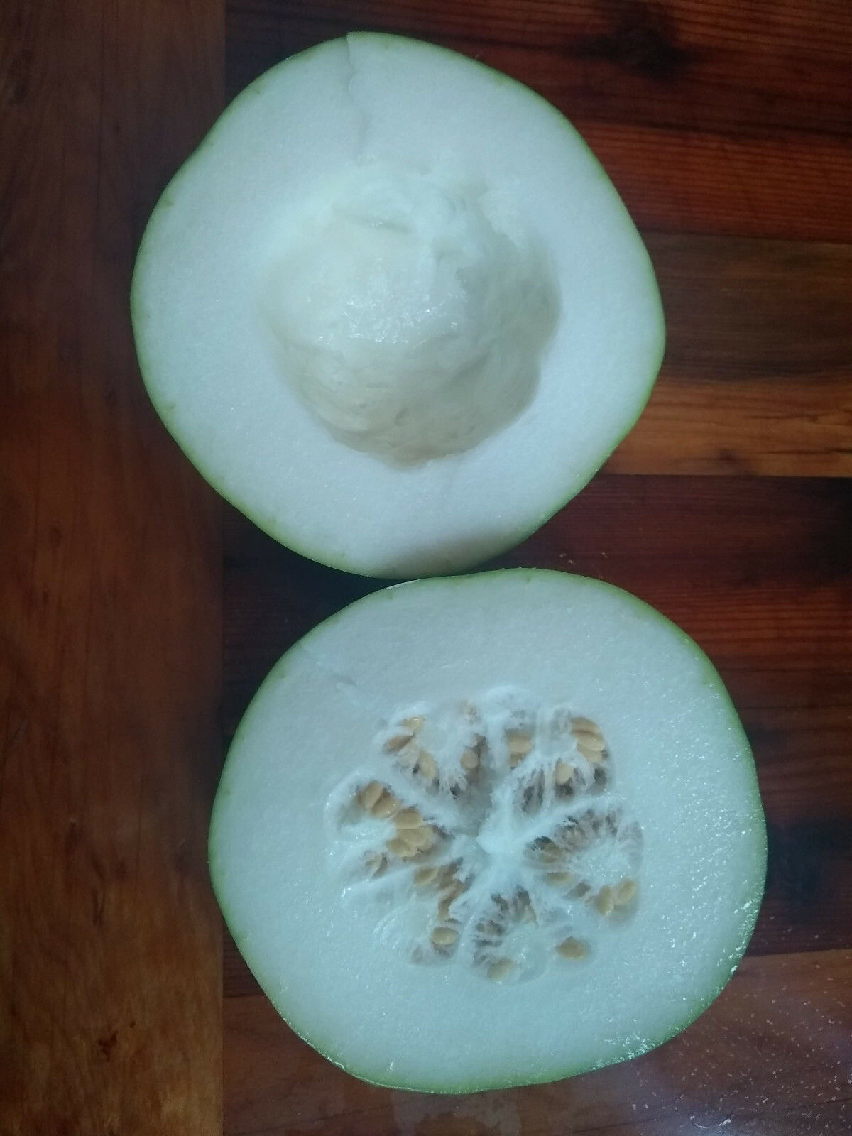 Winter Melon Seed ~ Benincasa hispida ~ Wax Gourd