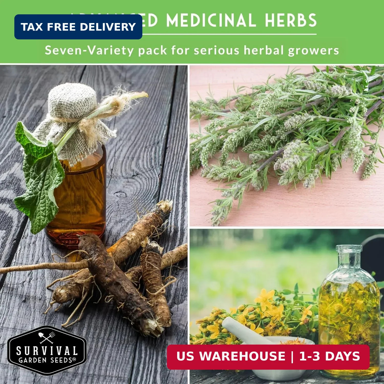 Advanced Medicinal Herb Seeds Collection – Variety Pack for Planting with Planta
