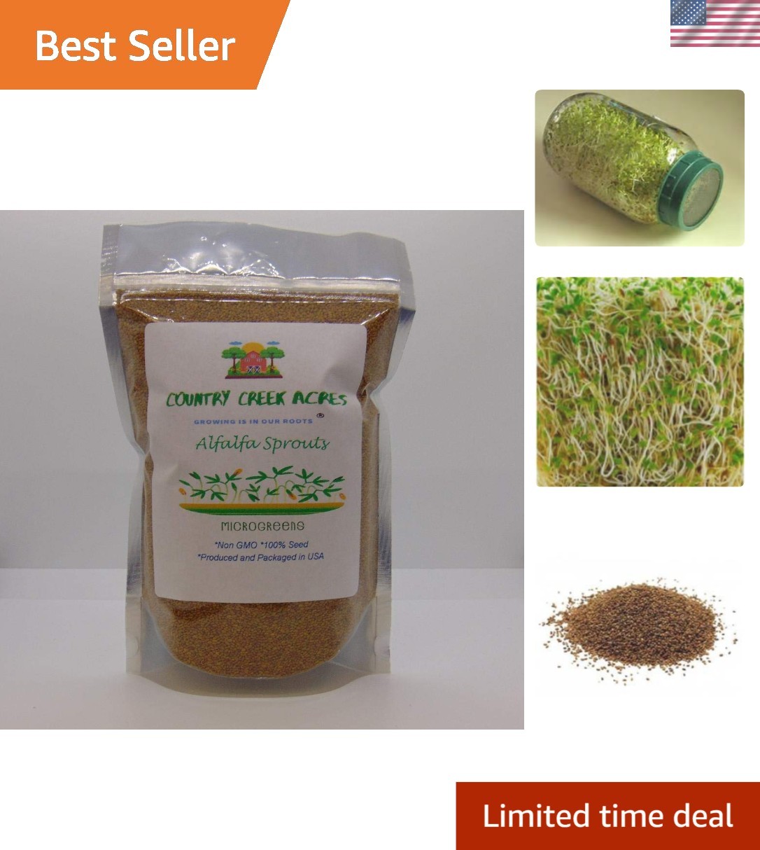 Nutritious 4 oz Alfalfa Sprouting Seeds – Grow Delicious Edible Sprouts at Home